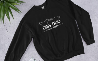 DIBS Merch for Fundraising!
